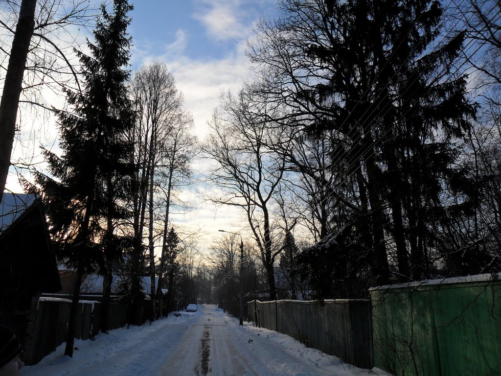 ул. Лесная