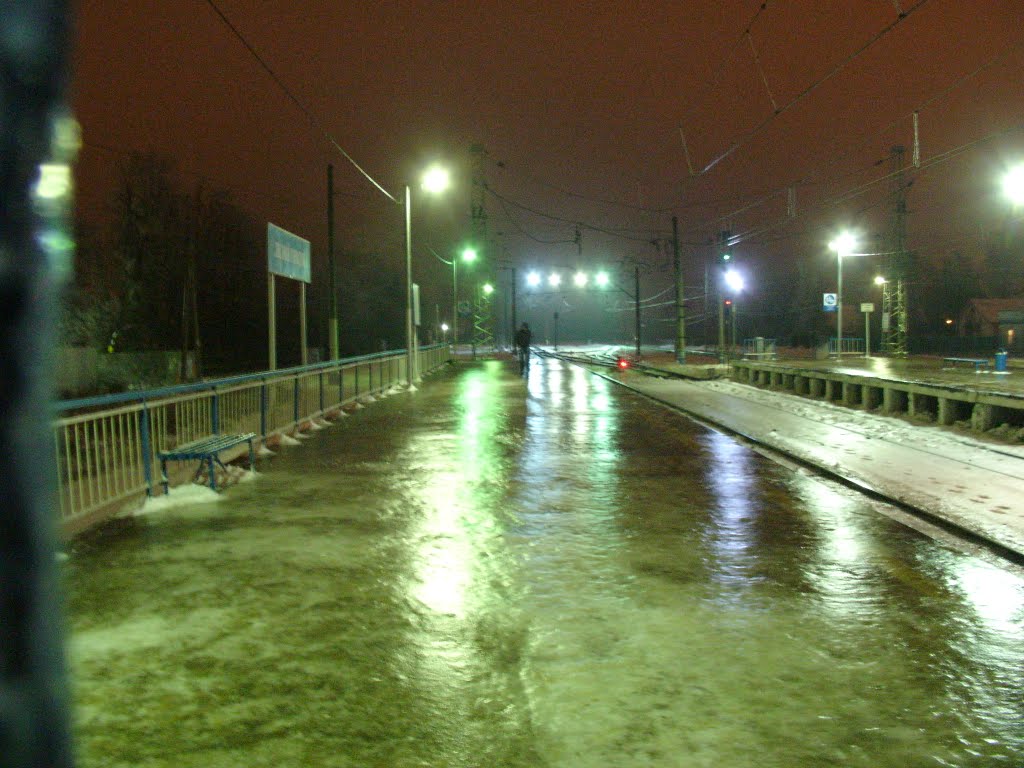 Moscow. Платформа Лесной городок. Первый вечер после ледяного дождя.