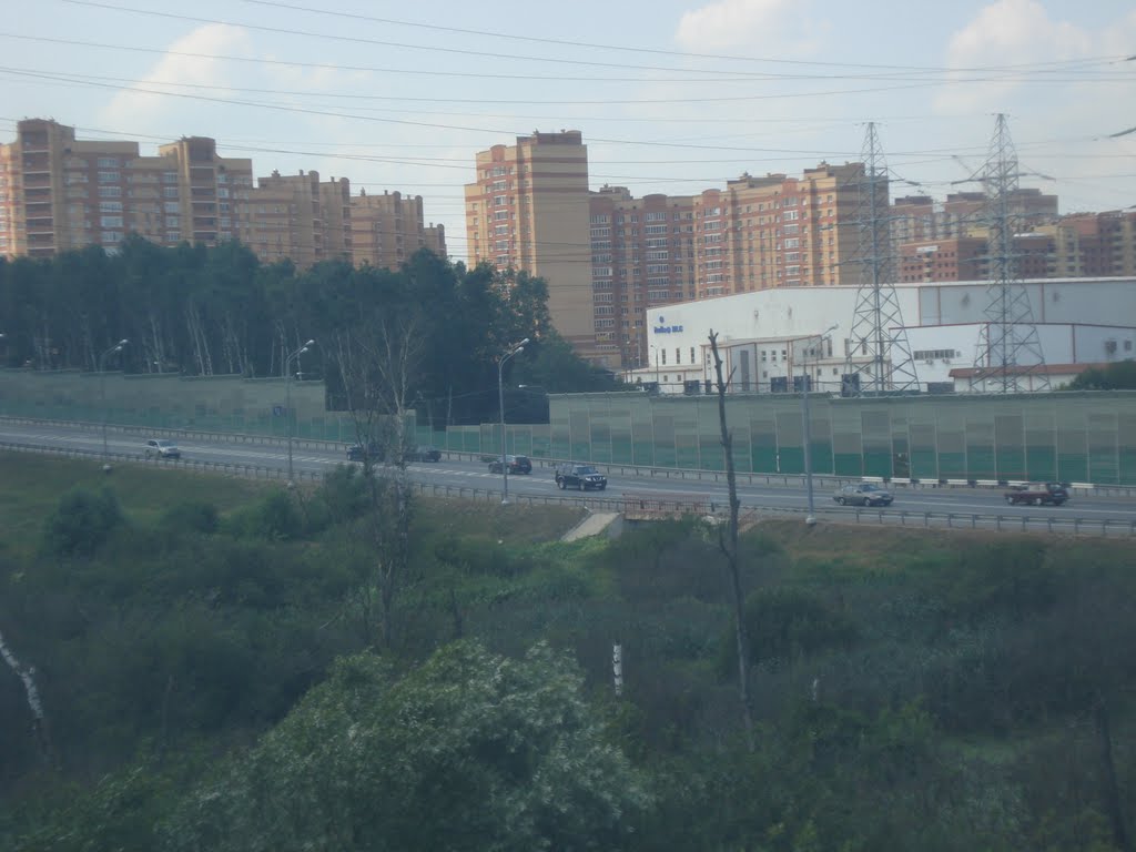 Лесной городок