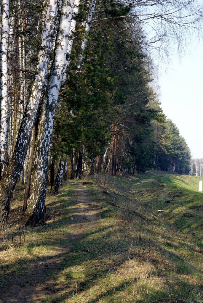 Перегон Лесной Городок - Толстопальцево
