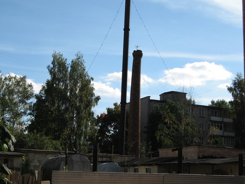 Lesnoy Gorodok