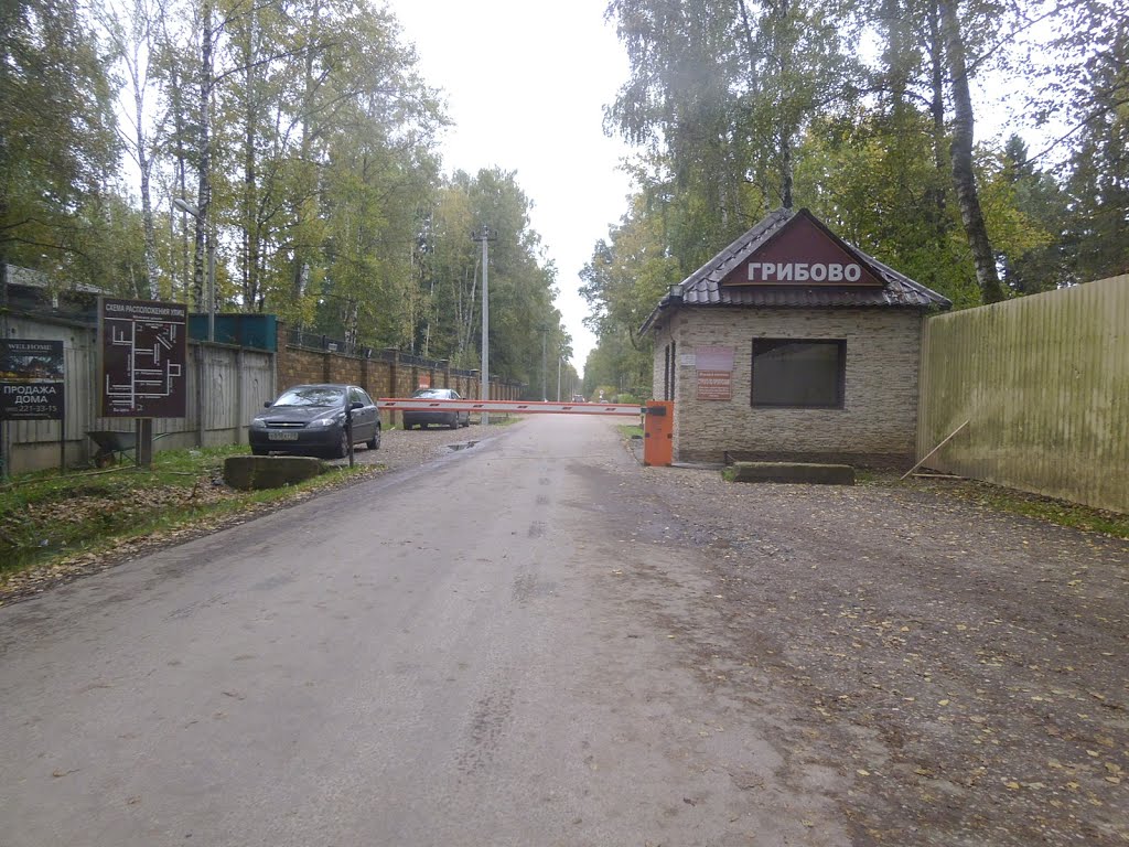 Грибово