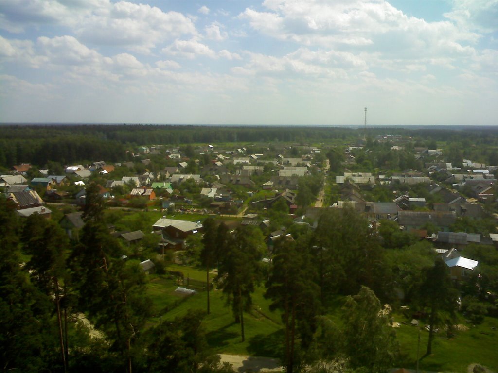 Ликино-Дулёво