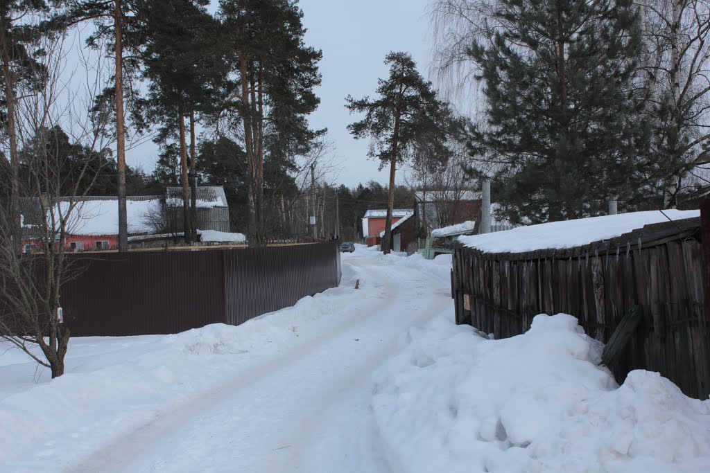 Дорога