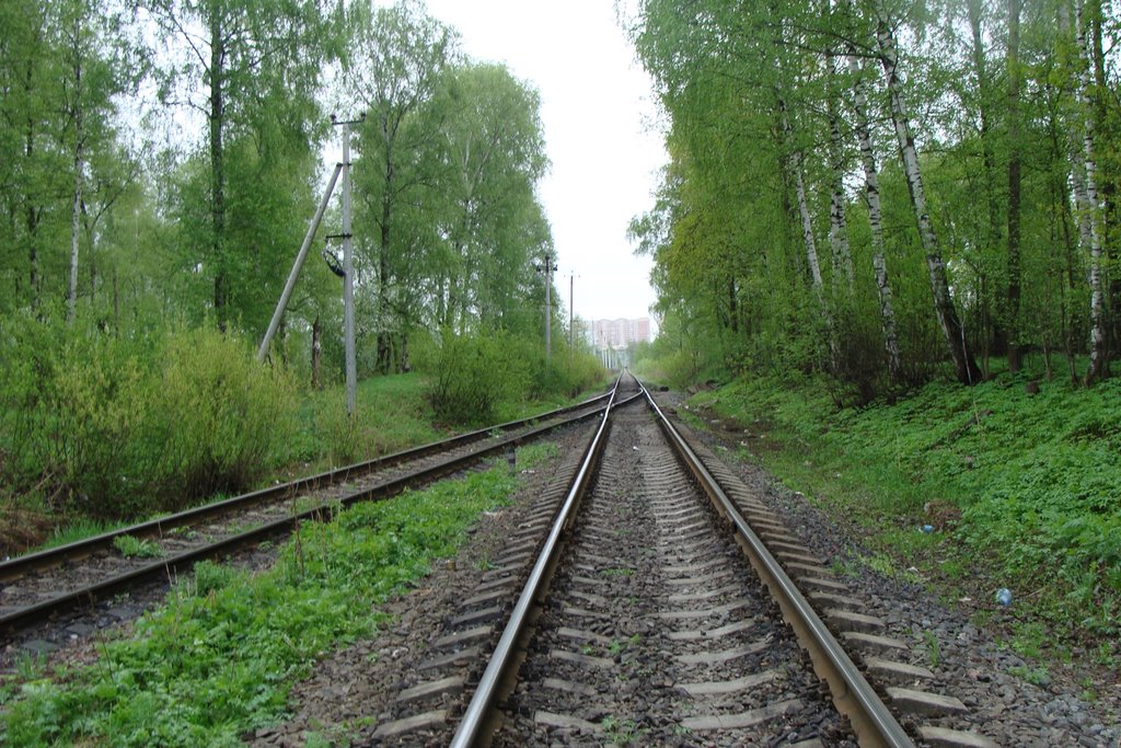 Лобня