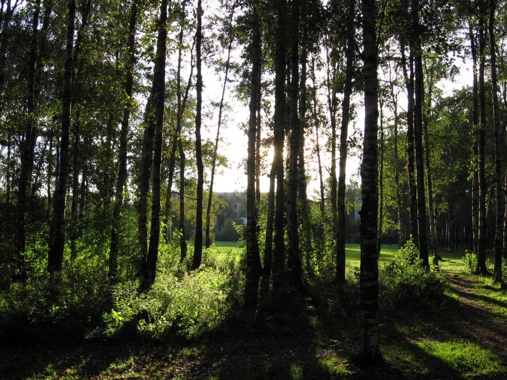 В городском парке