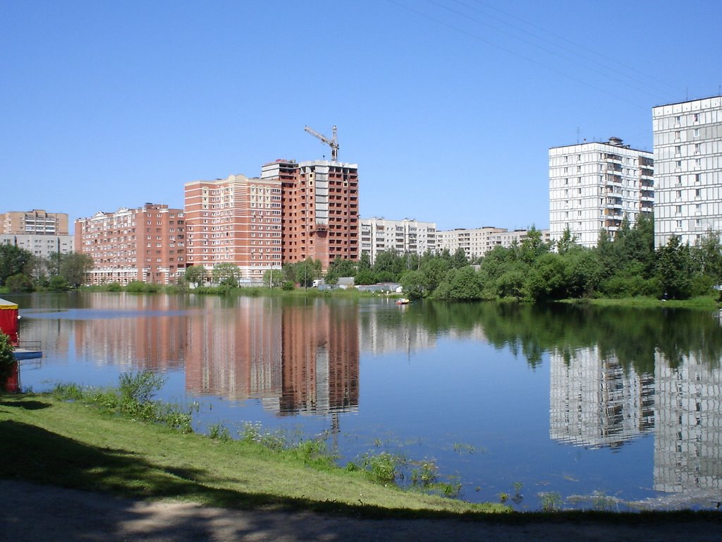 2006
