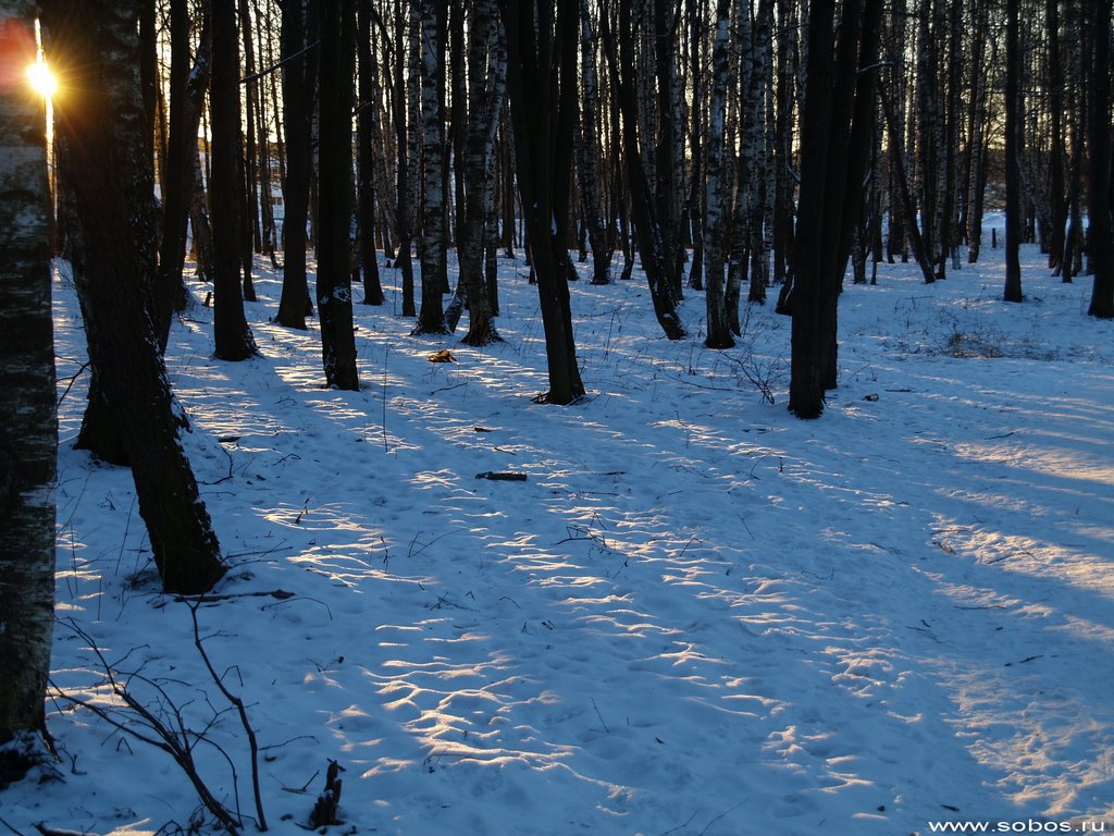 VZ031296_Kosye_luchi__Skew_rays.jpg