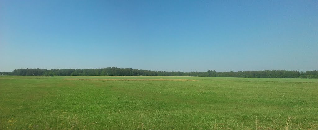 Луговая