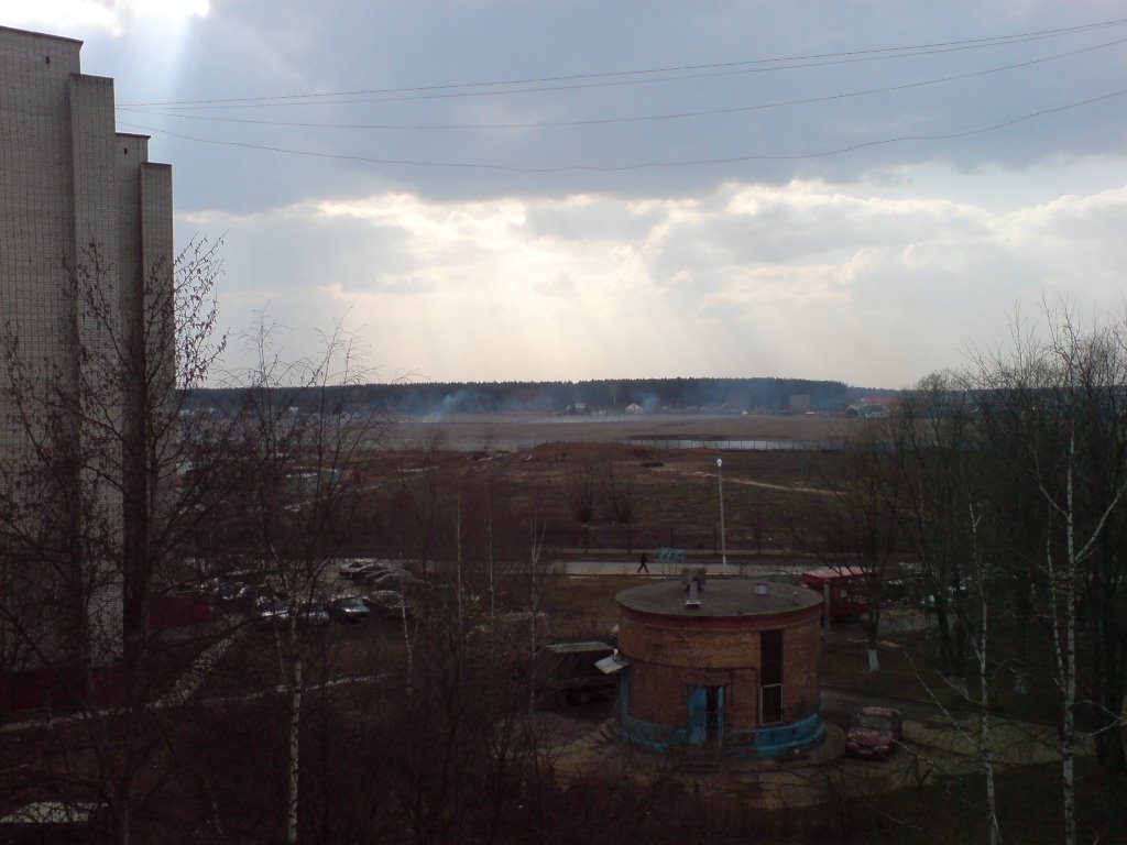 6.04.2008
