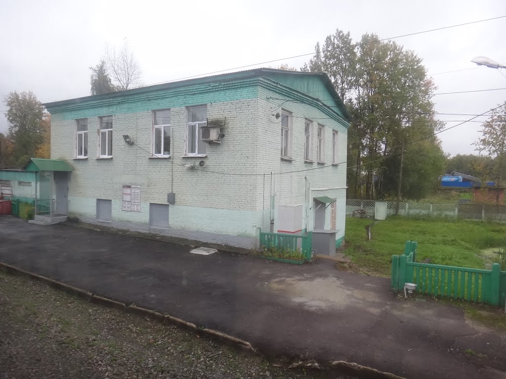 Станция Лопатино