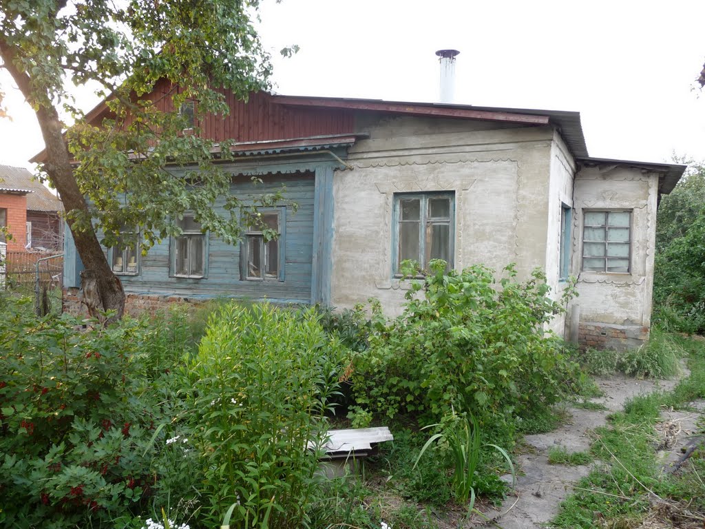Воскресенск, Пролетарская, 51