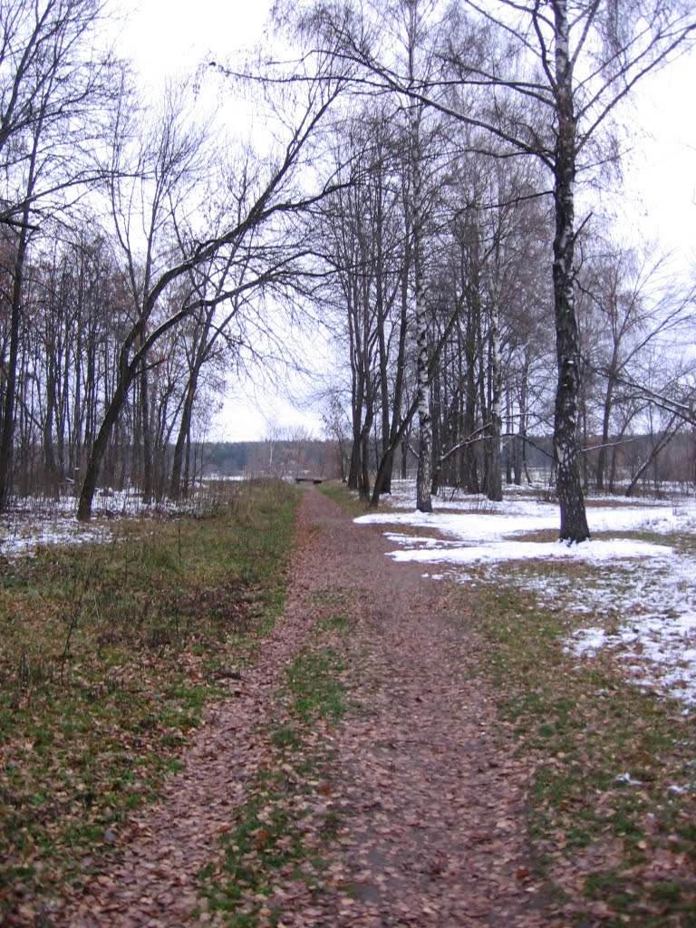 г.Лосино-Петровский, Парк, по-пути к р.Клязьма (100метров)