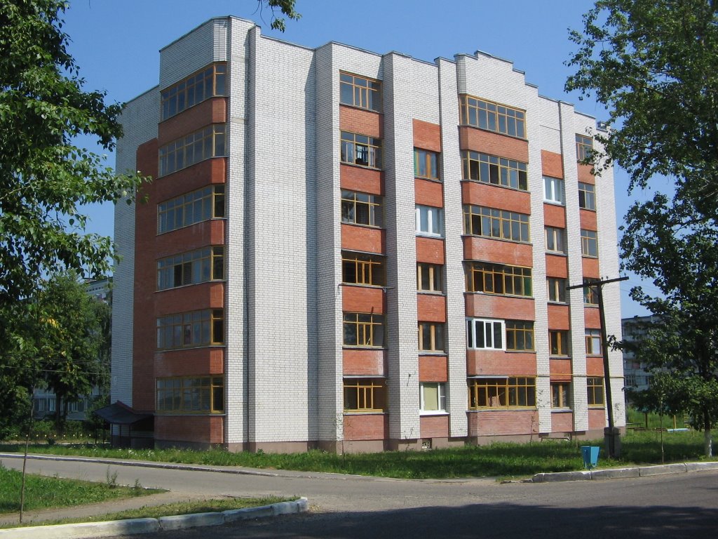 Дом №38 по ул.Центральная / House №38 on Centralnaya Street