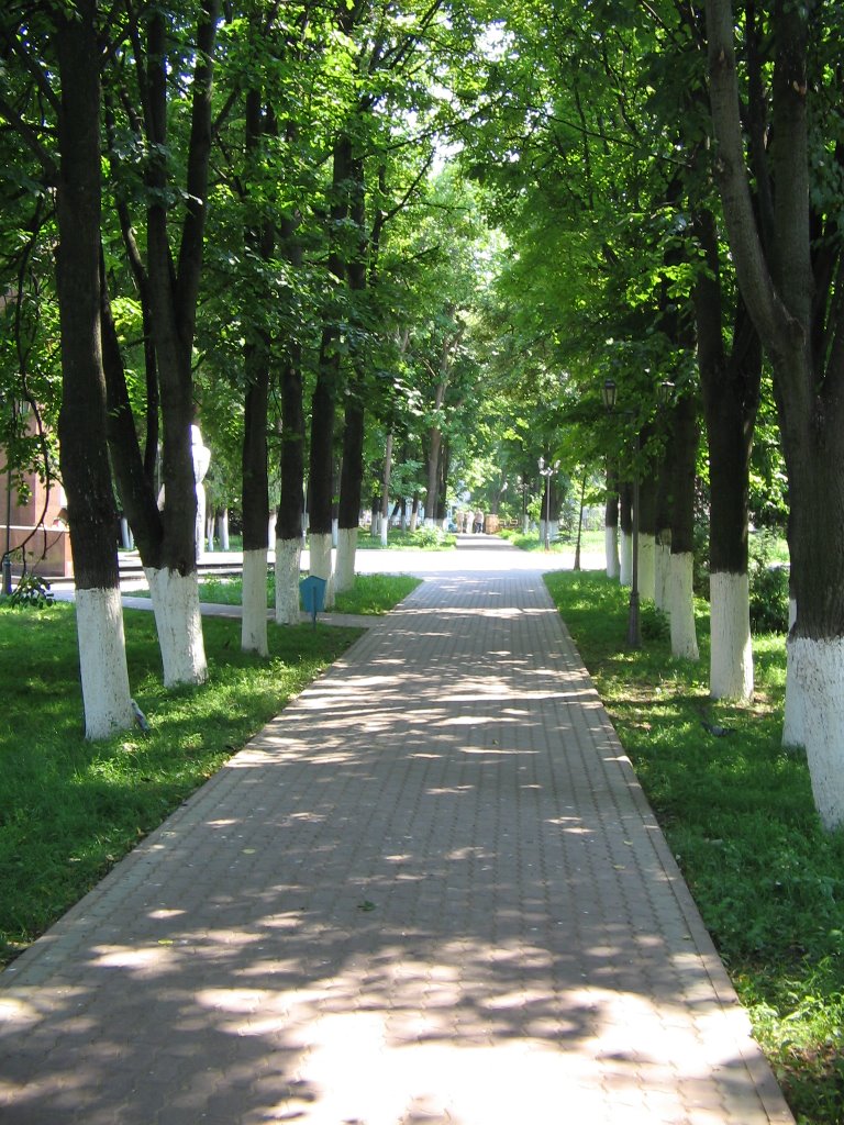 Дорожка в сквере / Path in Square