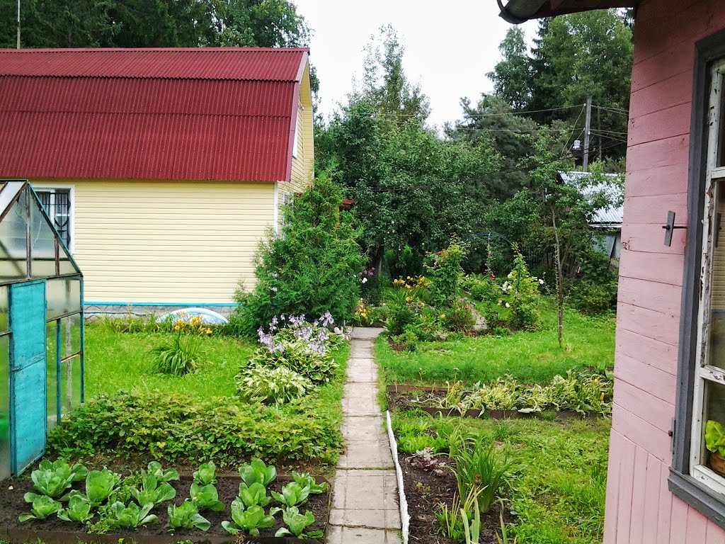 Лукино 1