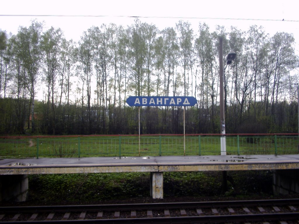Platforma Avangard (2005)