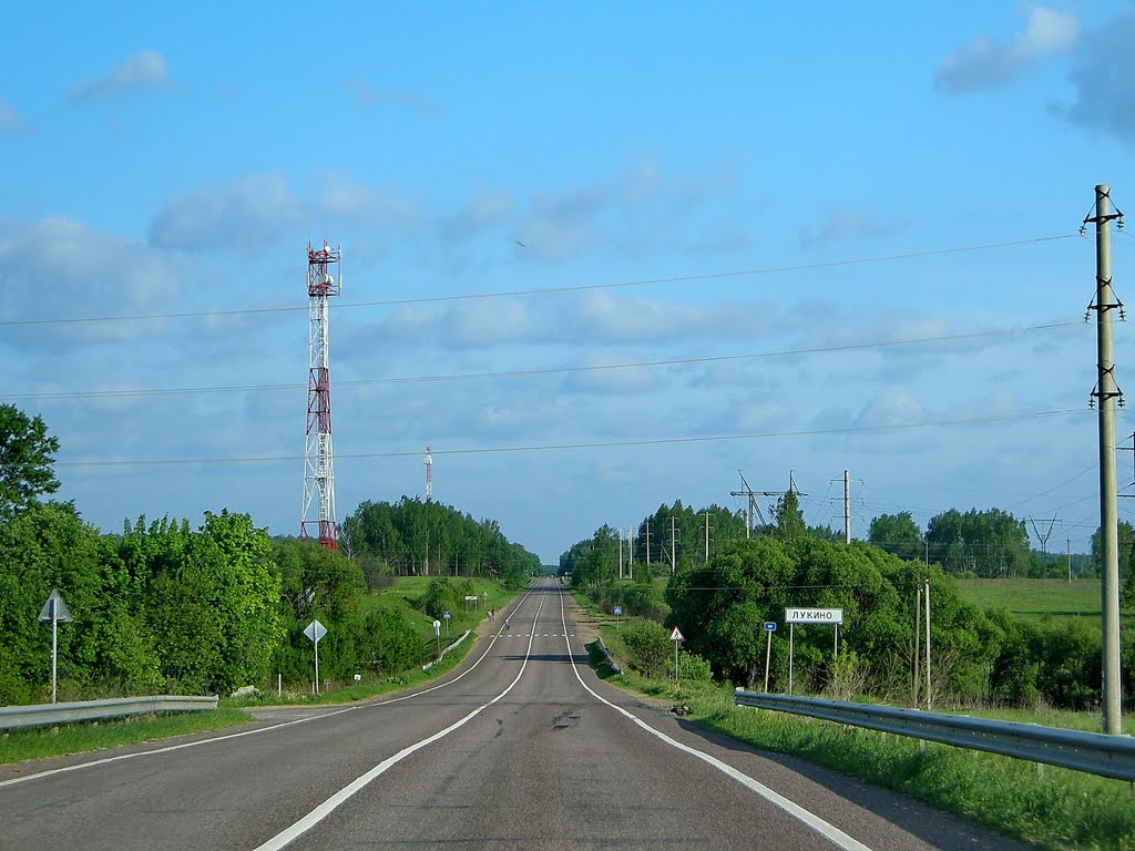 Возле Лукино