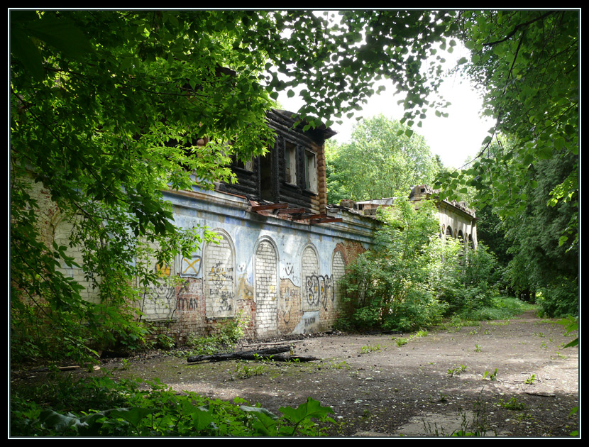 Усадьба Воздвиженское (на территории дома отдыха "Авангард"). Лето 2010 года