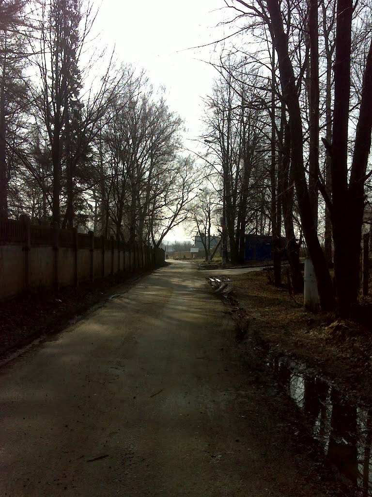 Дорога в поселке Авангард