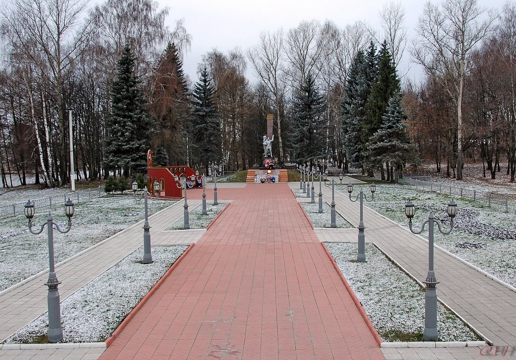 Луховицы. Мемориальная аллея героев