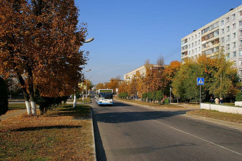 улица Жуковского в г. Луховицы