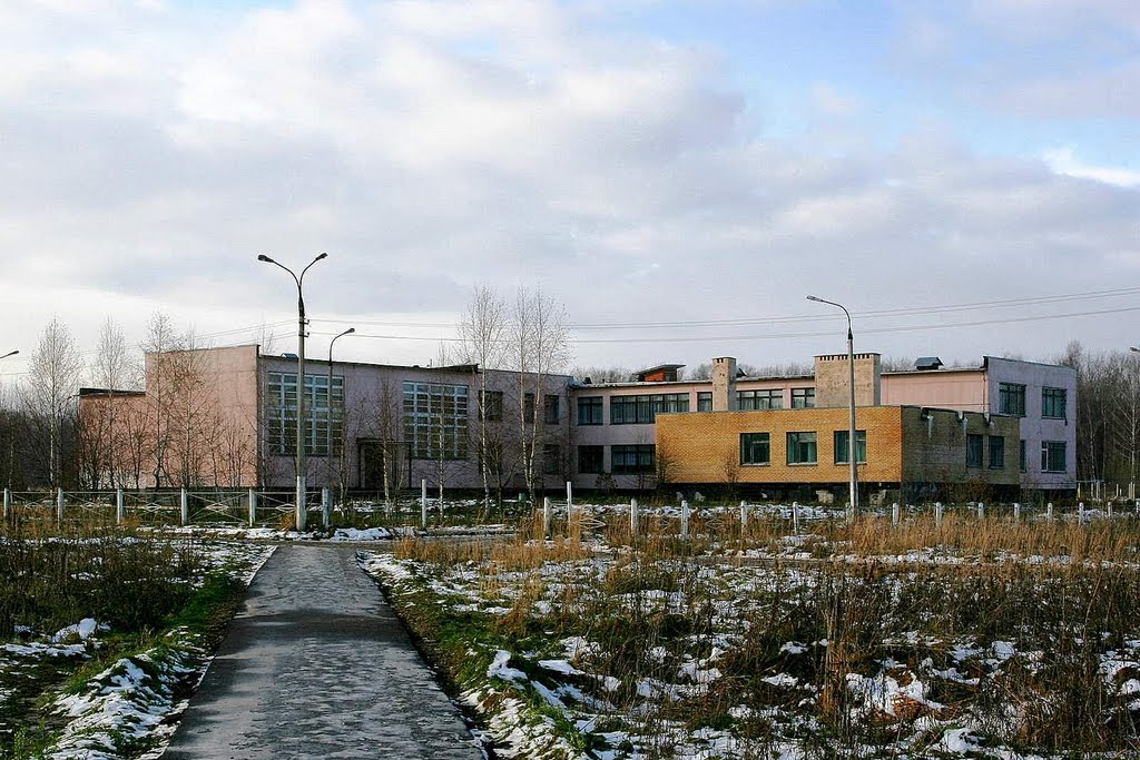 Луховицкий лицей