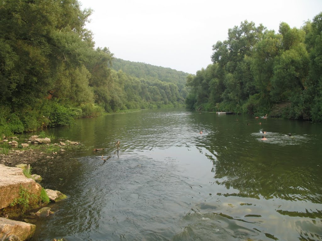 Луховицы. берхино