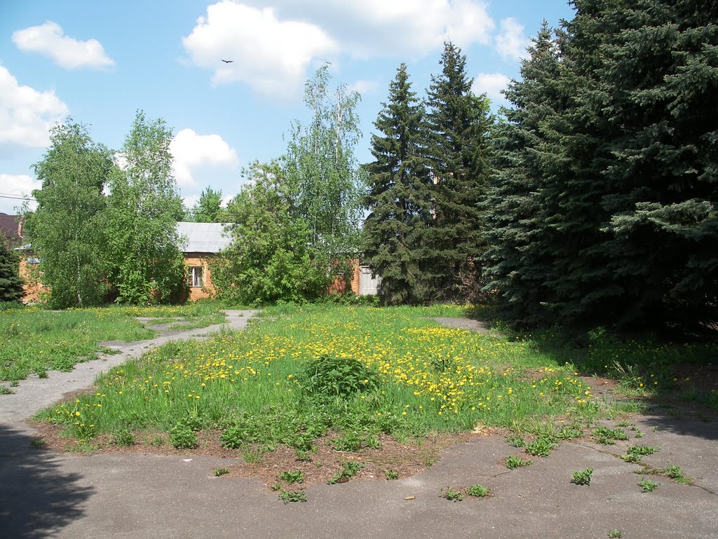 Луховицы