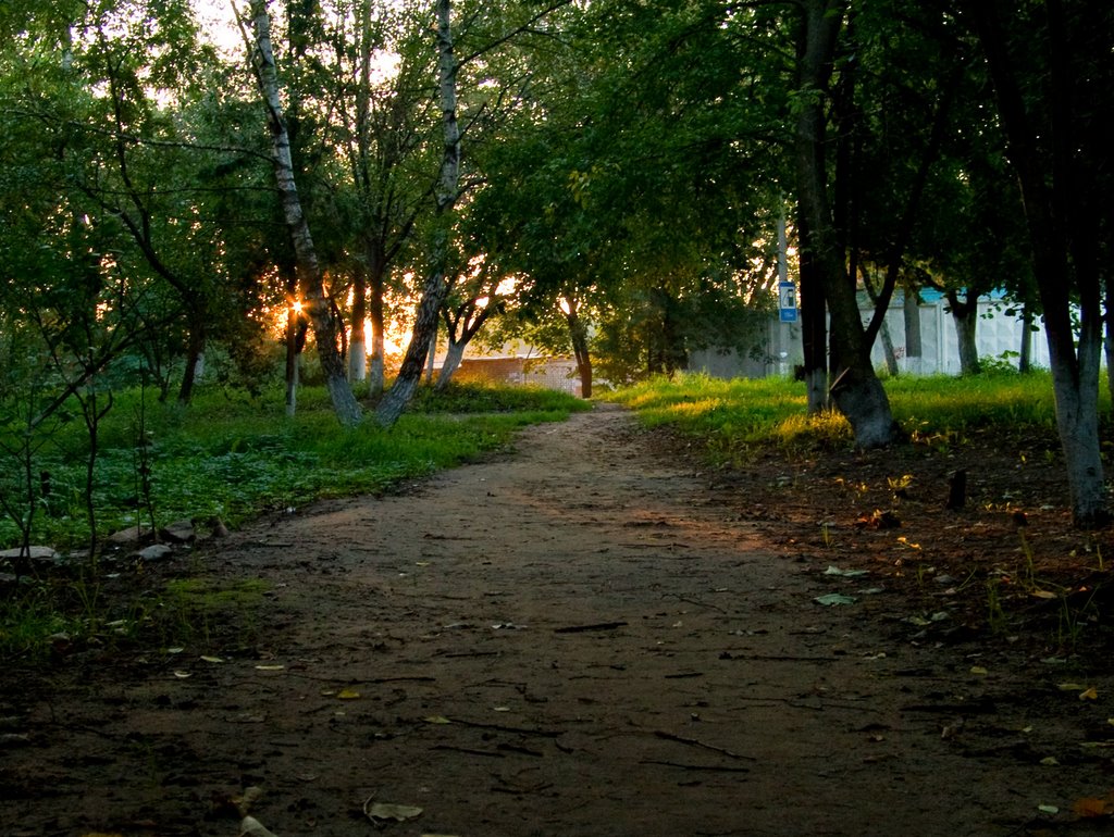 Утро