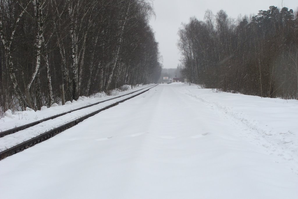 Люберецкий район, Московская область