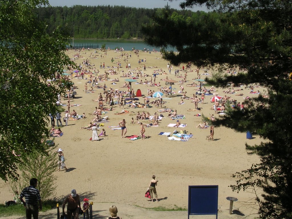 View on lake (Volkusha)