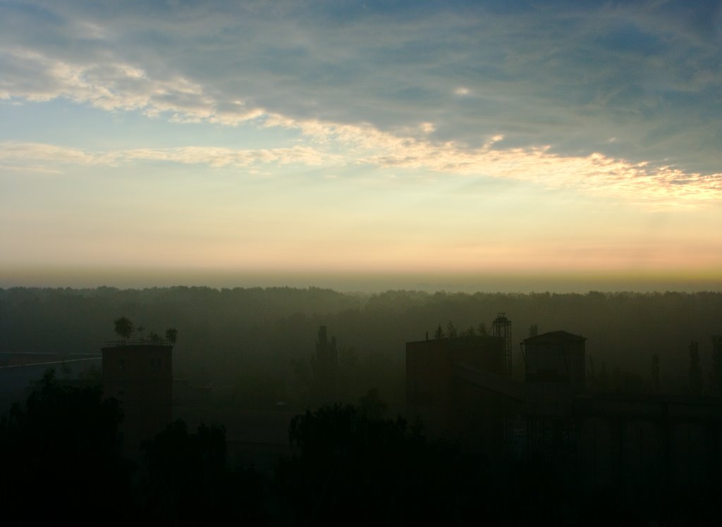 Утро /  The morning