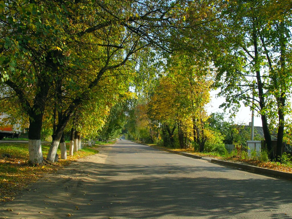 Осень на Колхозной улице / The autumn on the Kolkhoznaya  street