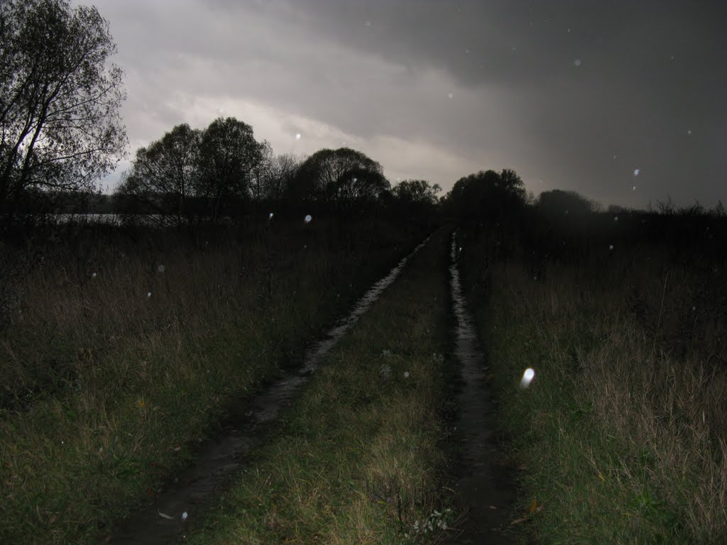 ROAD