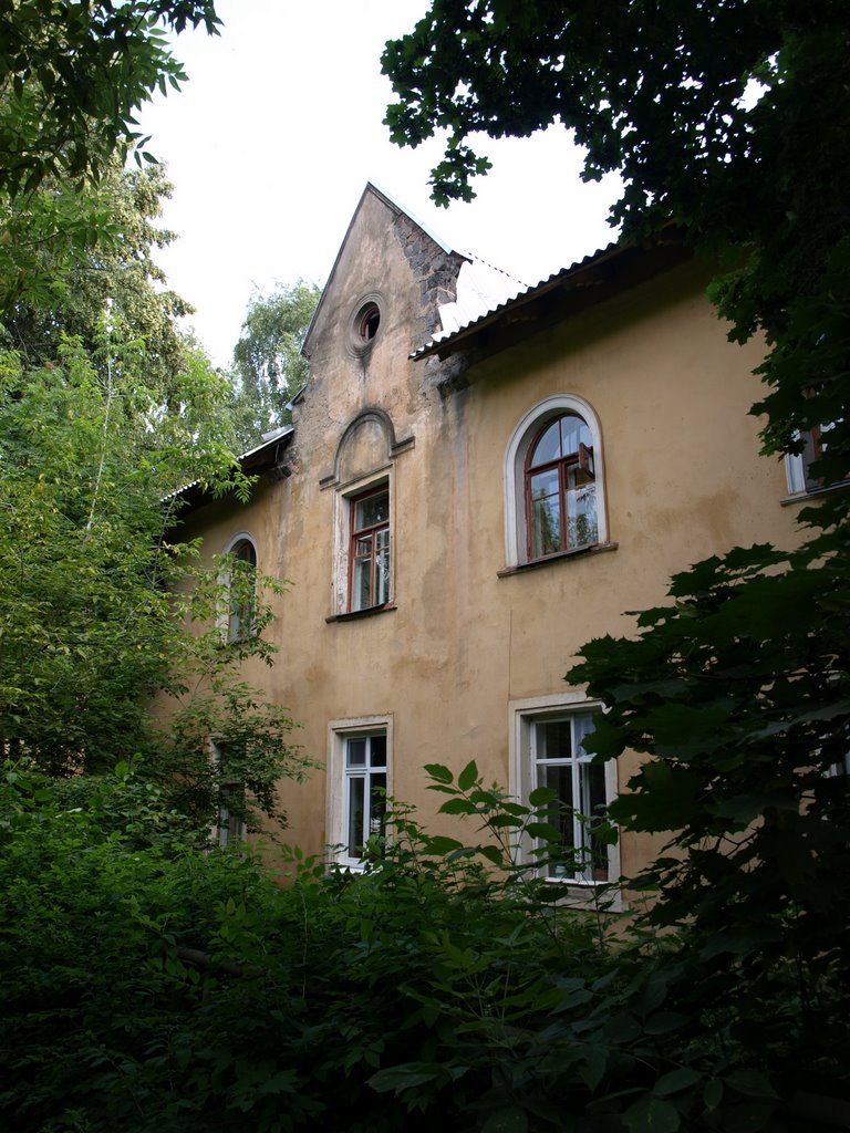 Дом на улице Горького