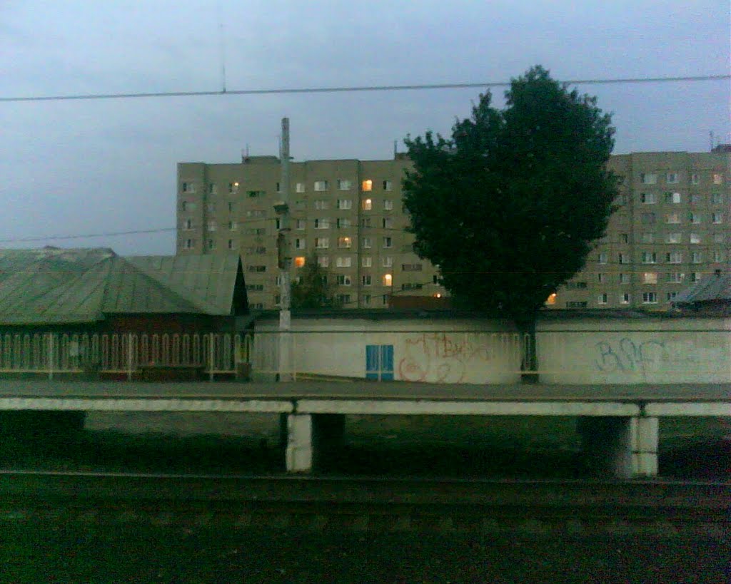 Вид с ж/д платформы Львовская. Август 2010.