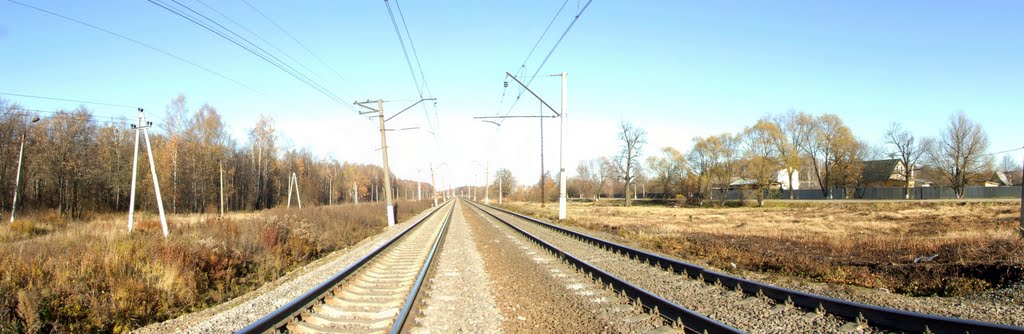 The railway near Lvovsky