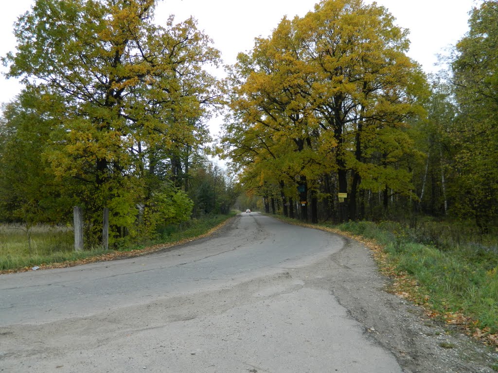 Поворот