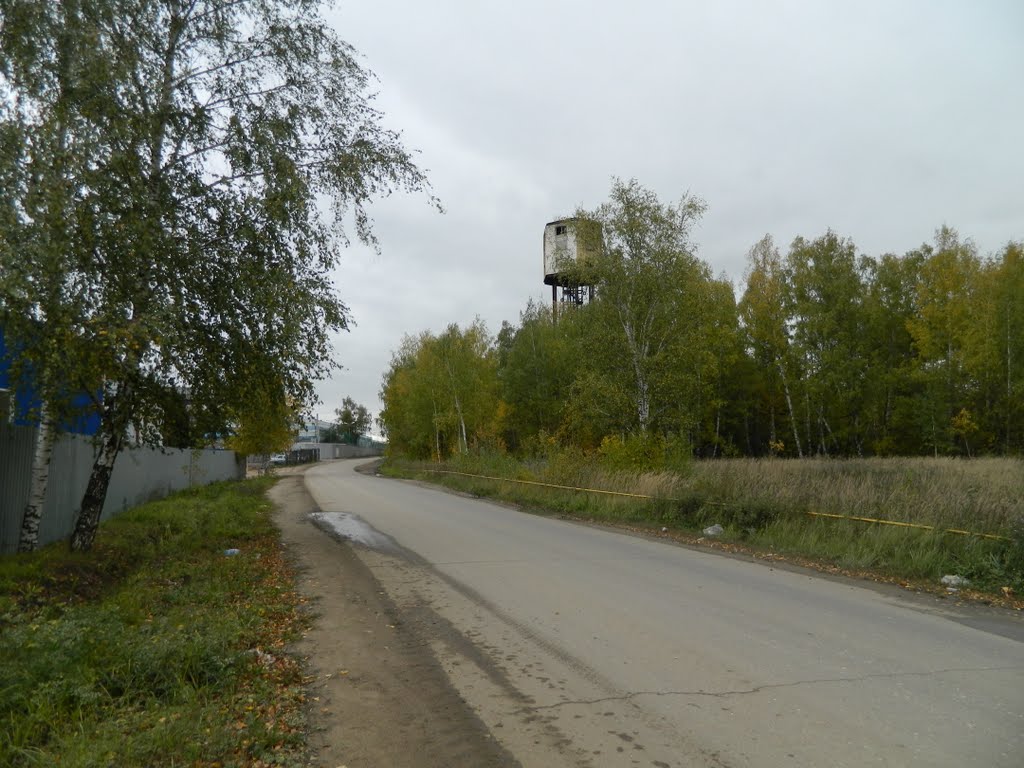 Дорога