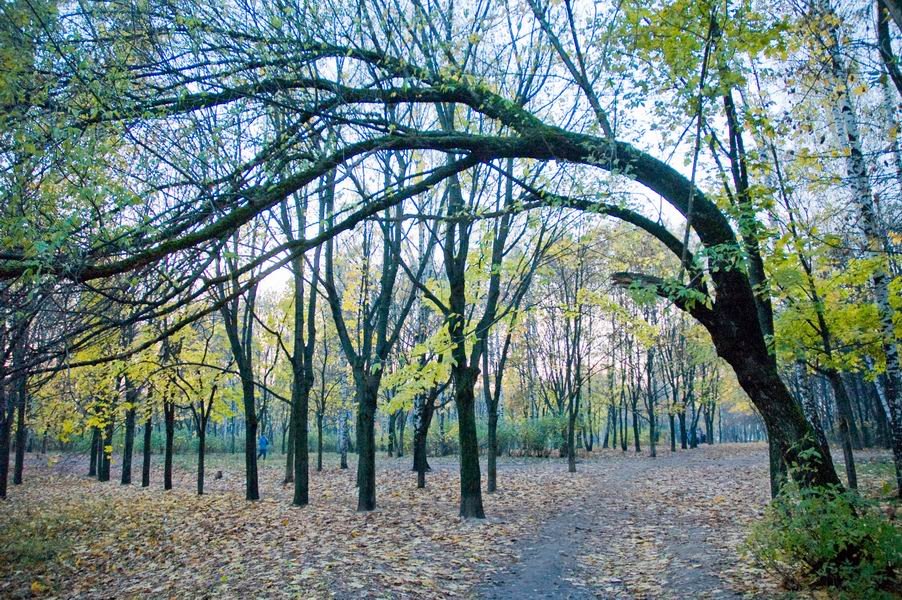 Люберецкий парк