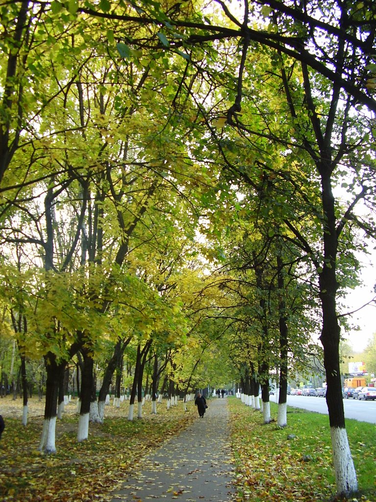 Oktyabrsky avenue
