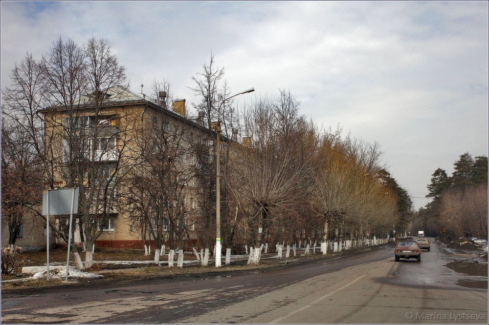 Михнеевское шоссе