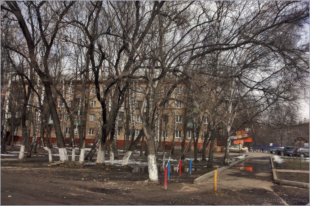 Удельная, пятиэтажка