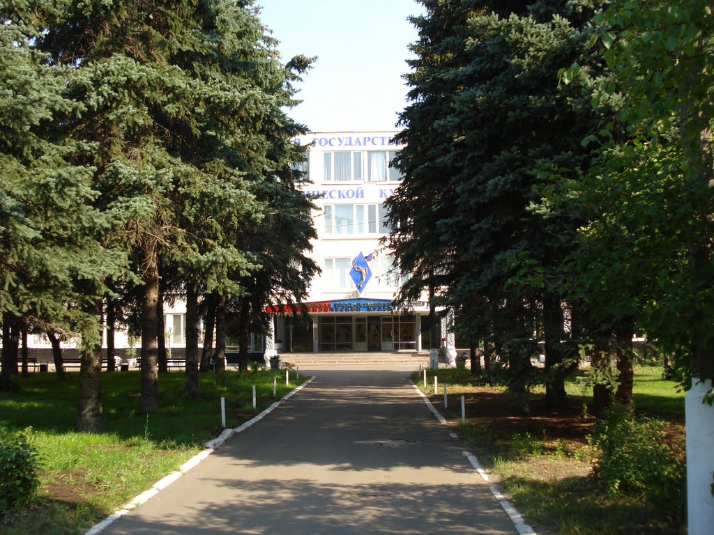 МГАФК в Малаховке