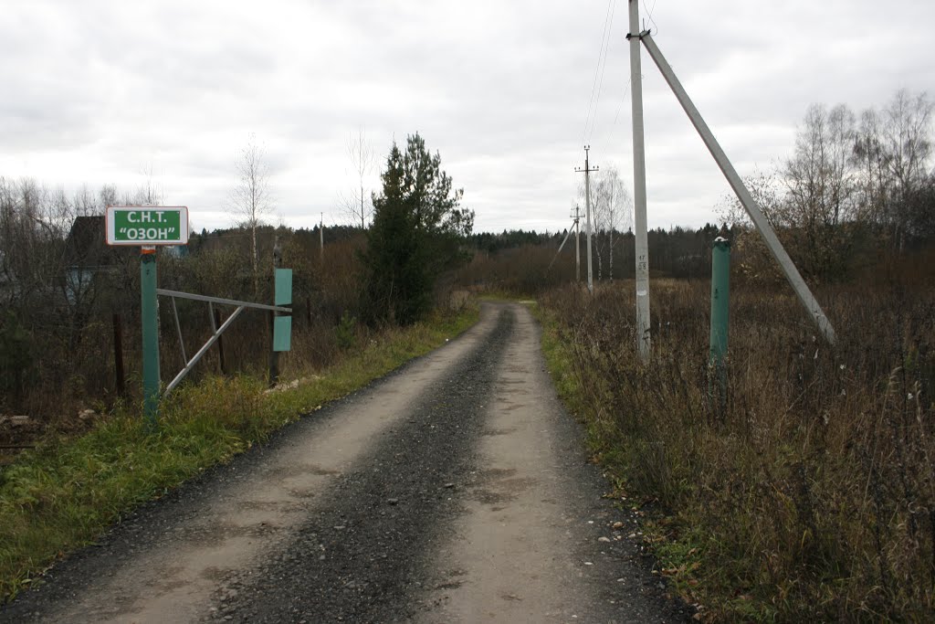 Дорога в СНТ "Озон"