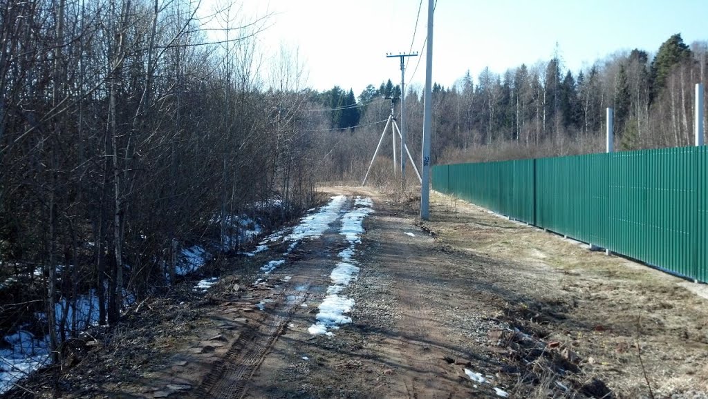 Дачная дорога