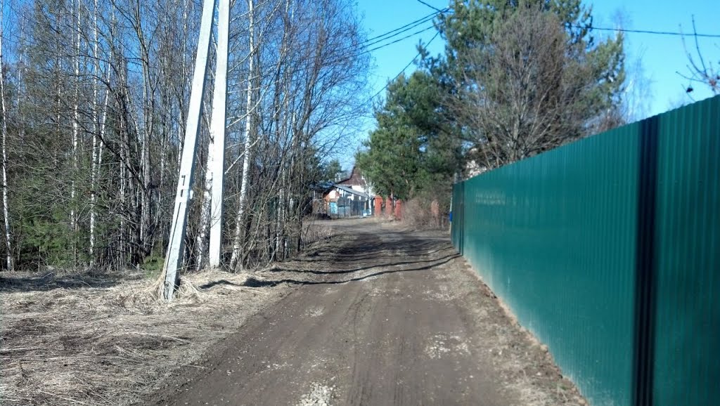 Дачная дорога