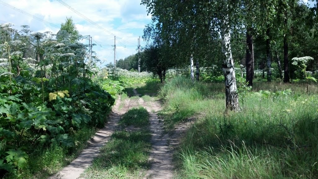 Грунтовка