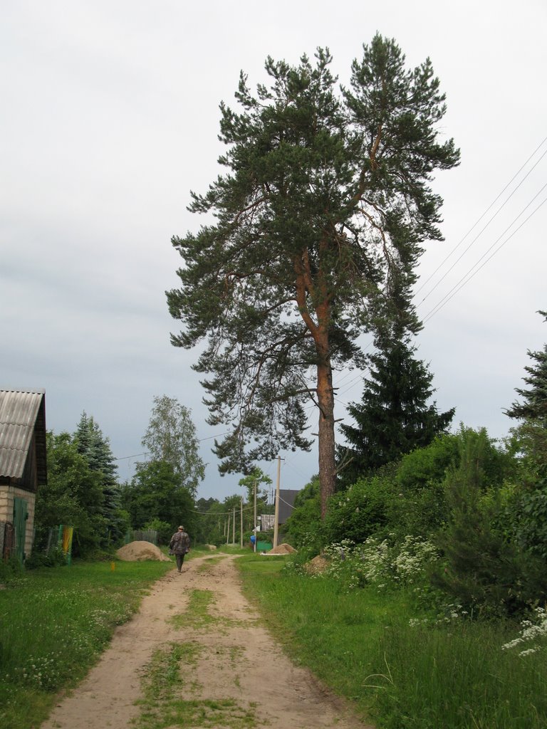 Деревня Лычёво